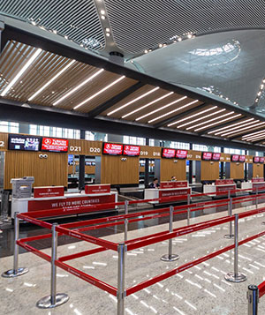 Istanbul Airport ticketing lines